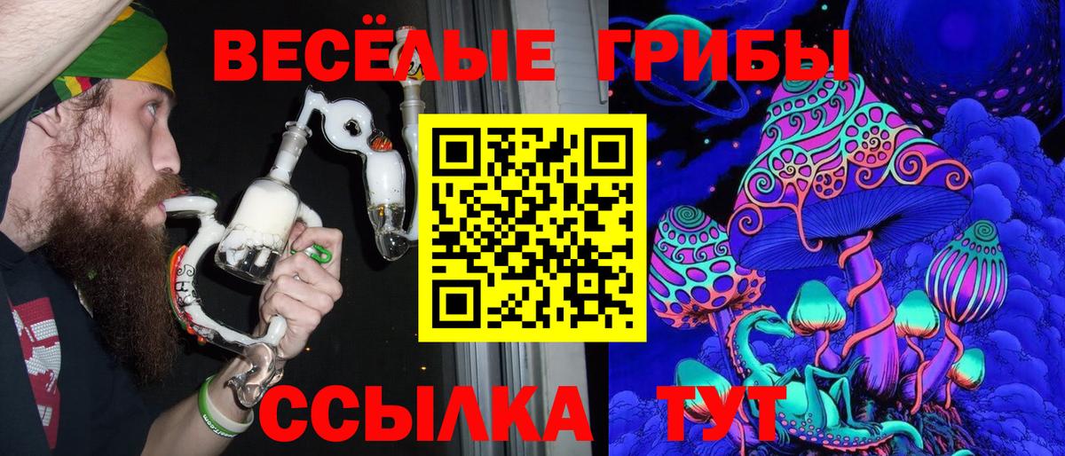 Псилоцибиновые грибы мухоморы  Псилоцибиновые грибы мухоморы  Вход с VPN  Котовск 